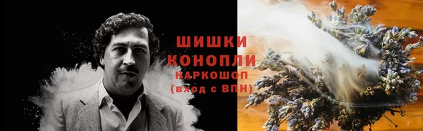 дживик Гусиноозёрск