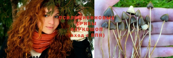 дживик Гусев