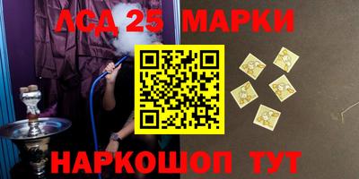 мдпв Кингисепп