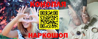 мдпв Кингисепп