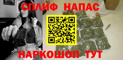 мдпв Кингисепп