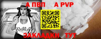 мдпв Кингисепп