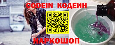 мдпв Кингисепп