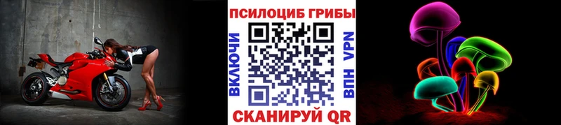 Псилоцибиновые грибы Cubensis Ухта