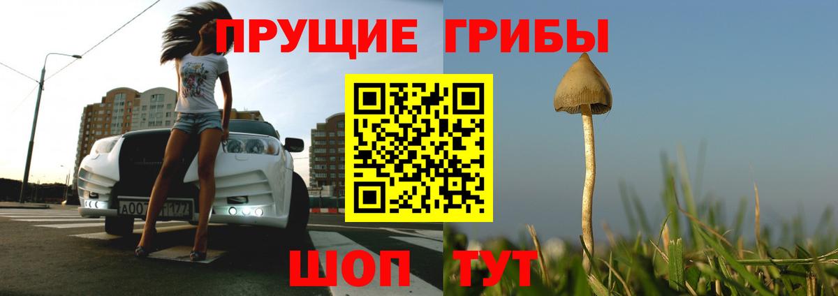 Псилоцибиновые грибы ЛСД Ухта